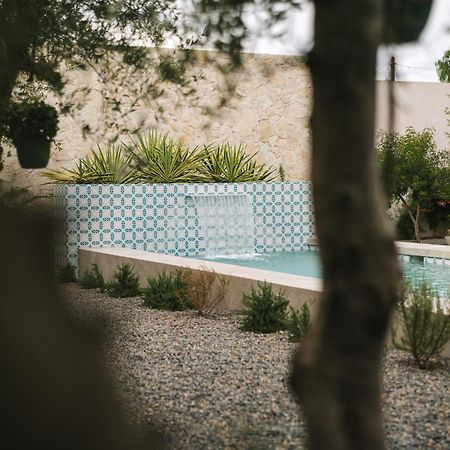 Casa Olivea - Mya Hotel Вале де Гуадалупе Екстериор снимка