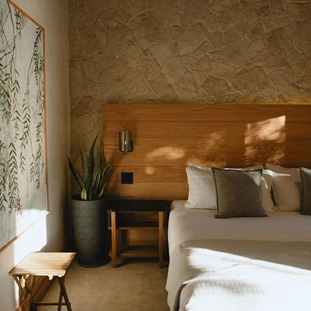 Casa Olivea - Mya Hotel Вале де Гуадалупе Екстериор снимка