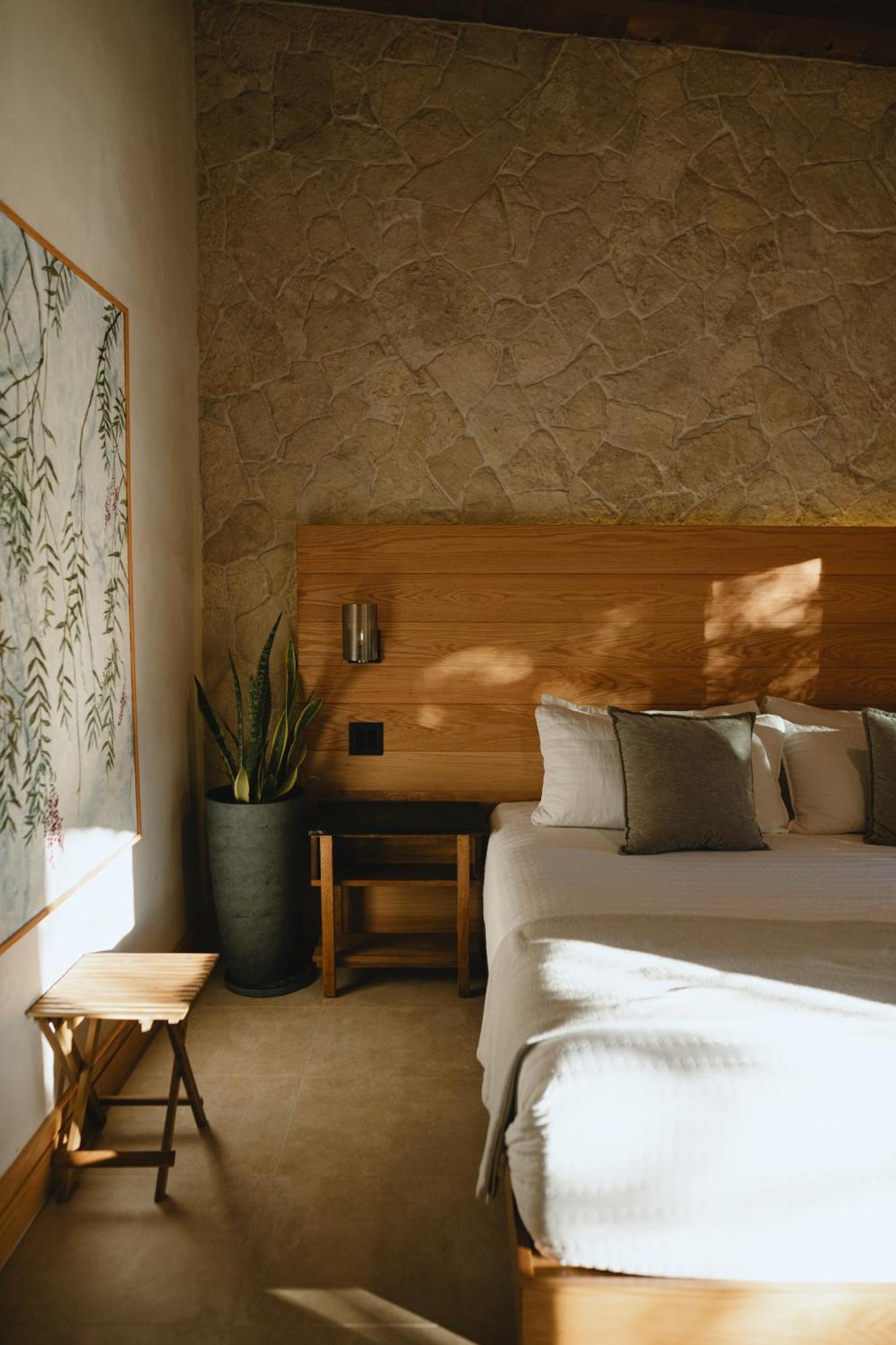 Casa Olivea - Mya Hotel Вале де Гуадалупе Екстериор снимка