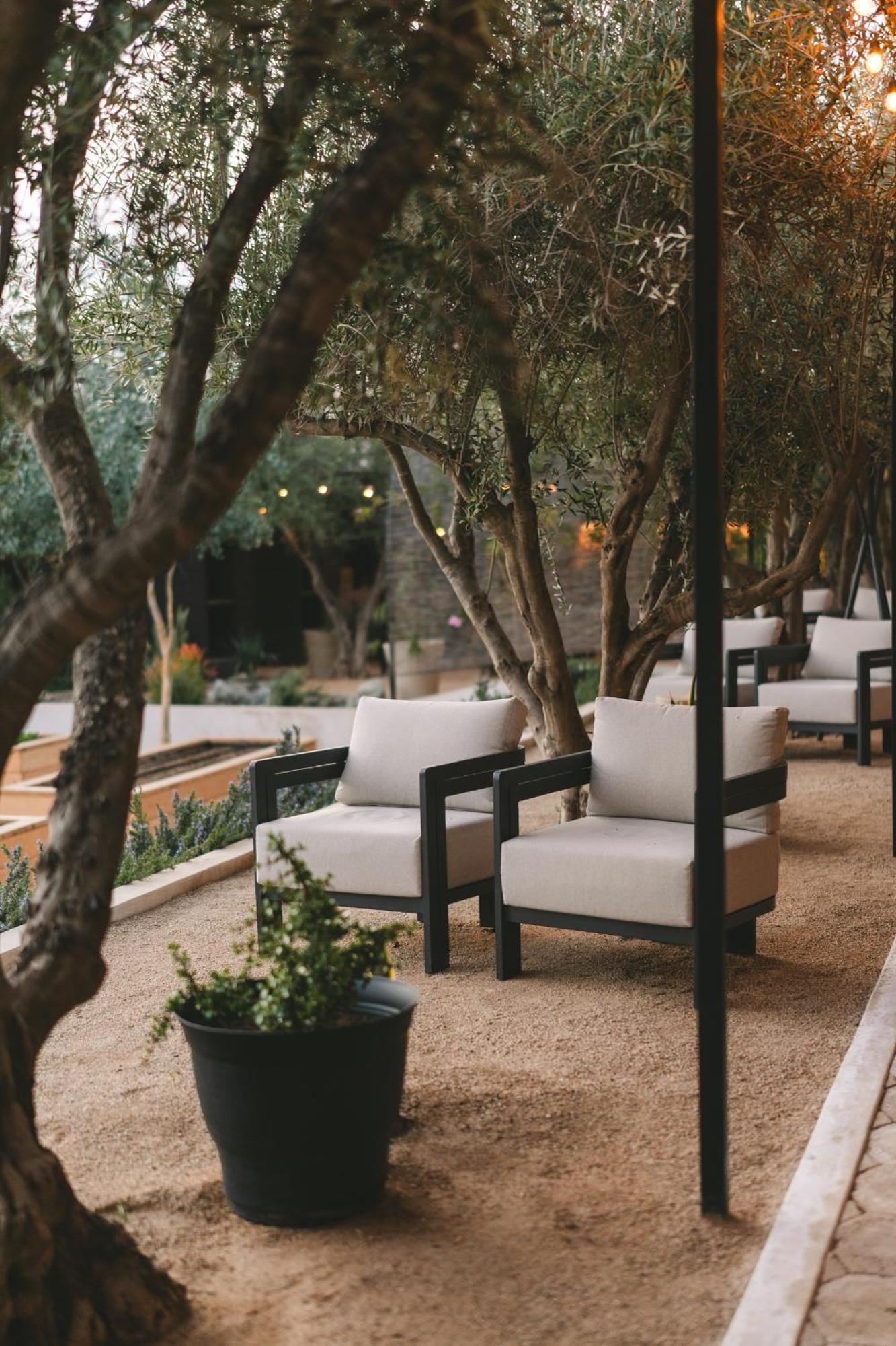 Casa Olivea - Mya Hotel Вале де Гуадалупе Екстериор снимка