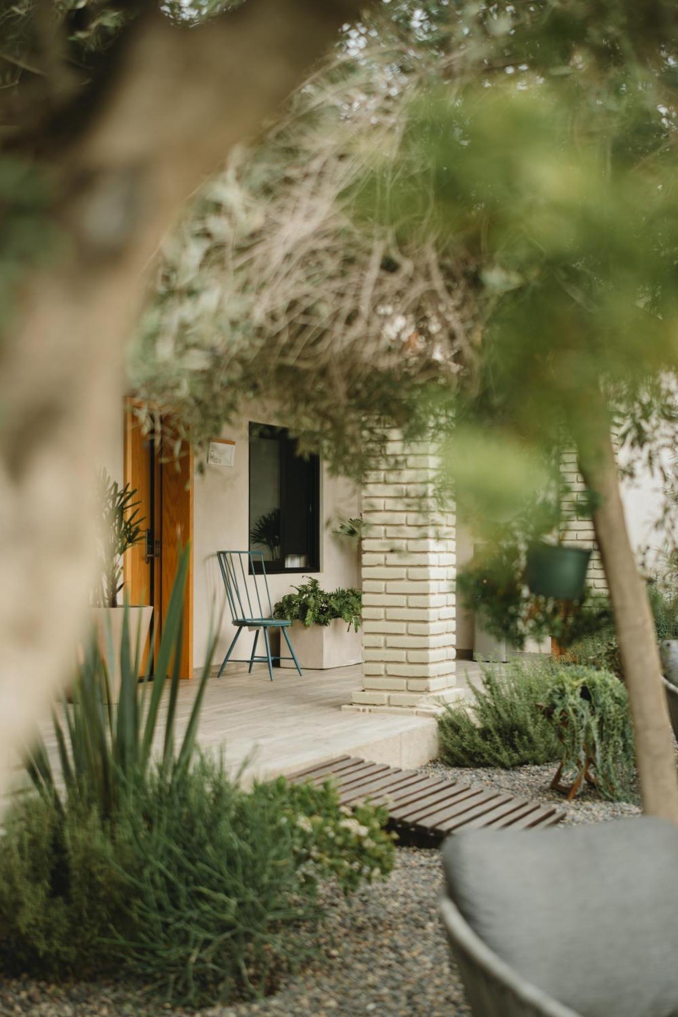 Casa Olivea - Mya Hotel Вале де Гуадалупе Екстериор снимка