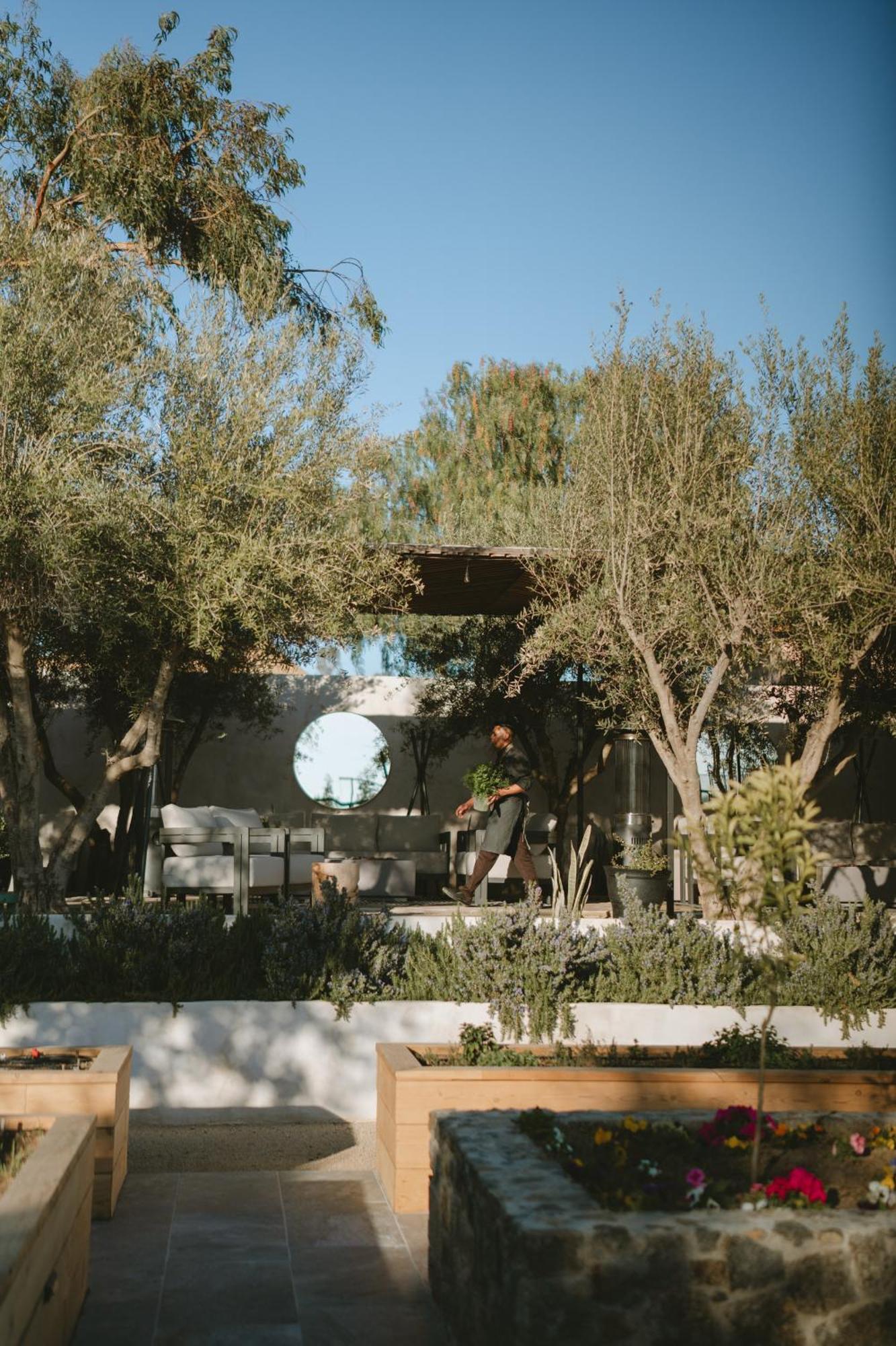 Casa Olivea - Mya Hotel Вале де Гуадалупе Екстериор снимка