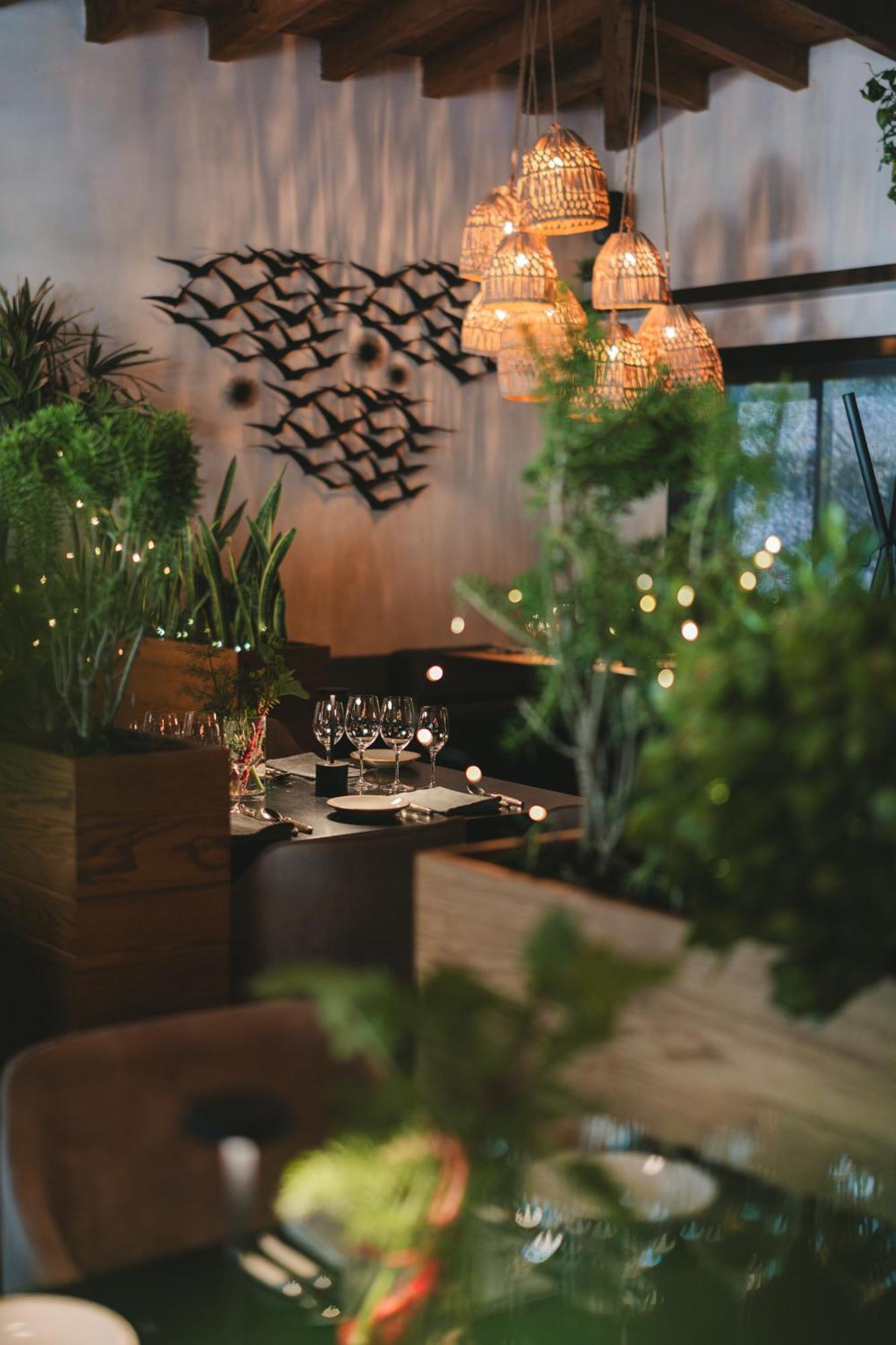 Casa Olivea - Mya Hotel Вале де Гуадалупе Екстериор снимка